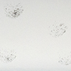 Color: Speckle White